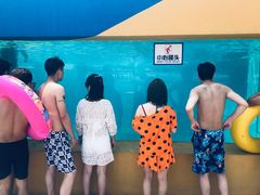 -秦皇岛乐岛海洋王国