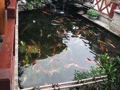 -顺德了能馆(虎门店)