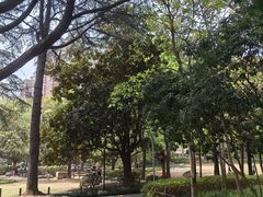 -徐家汇源景区-衡山公园