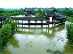 -中国扬子鳄村