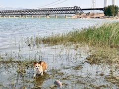-怀来官厅水库