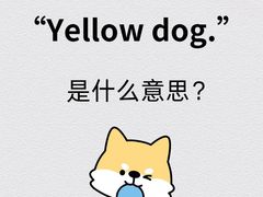 -英孚教育青少儿(徐汇徐家汇中心)