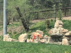 -沈阳森林动物园