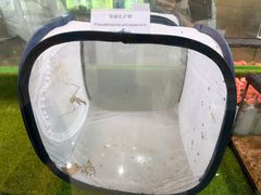 -上海昆虫博物馆