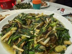 -红灯笼龙凤饭店(宁波老字号店)