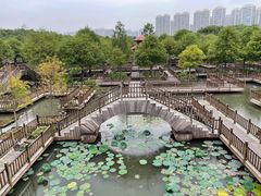 -五缘湾湿地公园