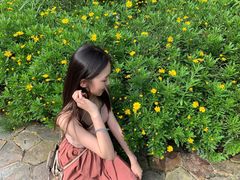 -远山有窑