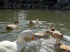 -金庭庄园酒店-停车场