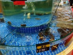 -登瀛楼饭庄(领世郡店)