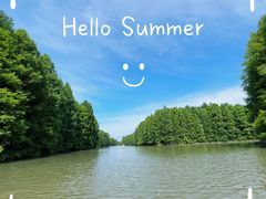 -上海海湾国家森林公园