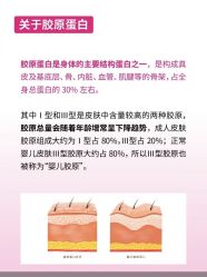 点击看大图 -玛莲朵·海菲秀冰珀科
