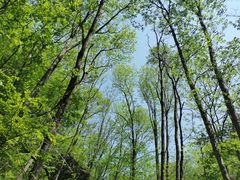 -牛背梁国家森林公园