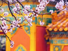-故宫博物院(故宫)