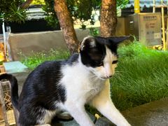 -大笑饭堂(甲子桥店)