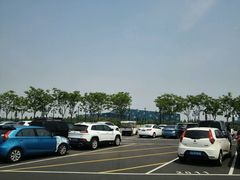 -迪士尼乐园停车场