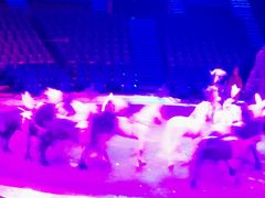 -珠海横琴长隆《卡卡虎奇遇记》