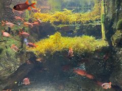 -太平洋海底世界