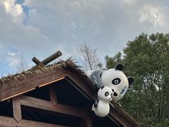 -苏州太湖国家湿地公园