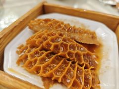 -黄埔华苑酒家(黄埔总店)