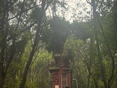 -成都老君山