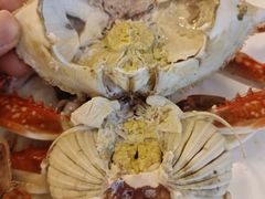 -禾斗海鲜自助(市南银座店)