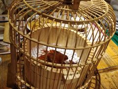 -胡桃里音乐酒馆(白云五号T5 MALL店)