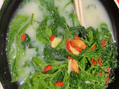 -羽鸽集·乳鸽专门店·地道顺德菜(岭南站店)