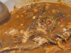 -甲鱼张甲鱼铺子(观沙岭店)