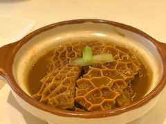 银罗金钱肚-利苑酒家(合景国际金融广场店)