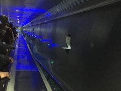 -白鹤梁水下博物馆