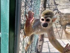 -泉州海丝野生动物世界