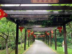-九龙潭景区
