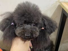 -沐沐家宠物(成寿寺店)