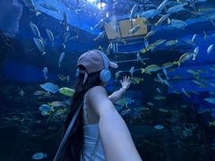 -海合安成都极地海洋公园