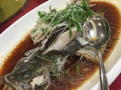 清蒸桂花鱼-滨海大酒店中餐厅·商务宴请·团建聚餐·生日宴