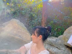 -金孔雀温泉旅游度假村