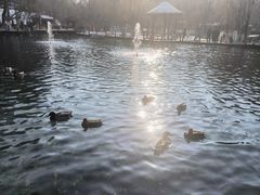-水磨沟公园