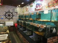 水产区-福来齐·鲁菜海鲜·渔家菜(朝阳街分店)