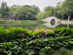 -凤城河风景区