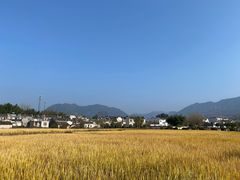 -黟县屏山村