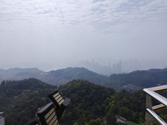 -大金鹰园