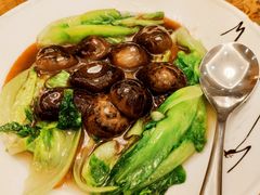 鲍汁金钱生菜胆-广州酒家(文昌总店)