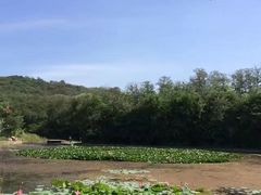-玉佛苑