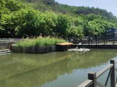 -荷塘味道(水长城店)