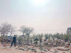 -宝安西湾红树林湿地公园