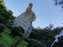 -帽儿山国家森林公园