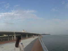 -演武大桥观景平台