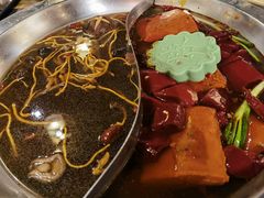 -大龙燚火锅(春熙店)