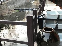 -Local泰莲庭(虹鳟鱼店)