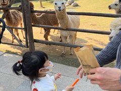 -泉州海丝野生动物世界